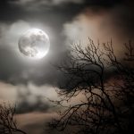 noche de halloween fantasmas en escocia