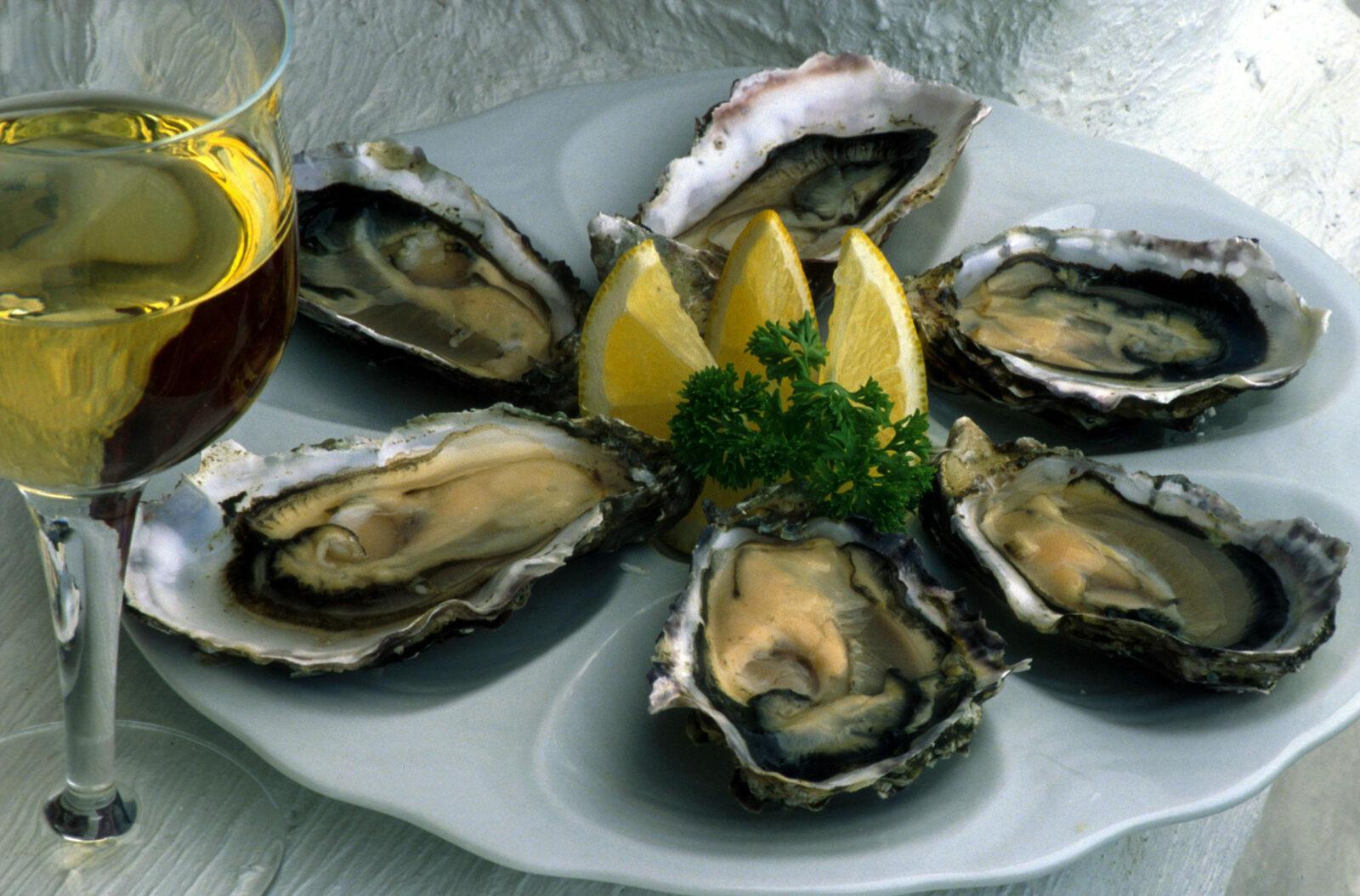 A PLATTER OF OYSTERS AND A GLASS OF WINE
PIC:PAUL TOMKINS/VisitScotland/SCOTTISH VIEWPOINT
Tel: +44 (0) 131 622 7174
E-Mail : info@scottishviewpoint.com
This photograph can not be used without prior permission from Scottish Viewpoint.